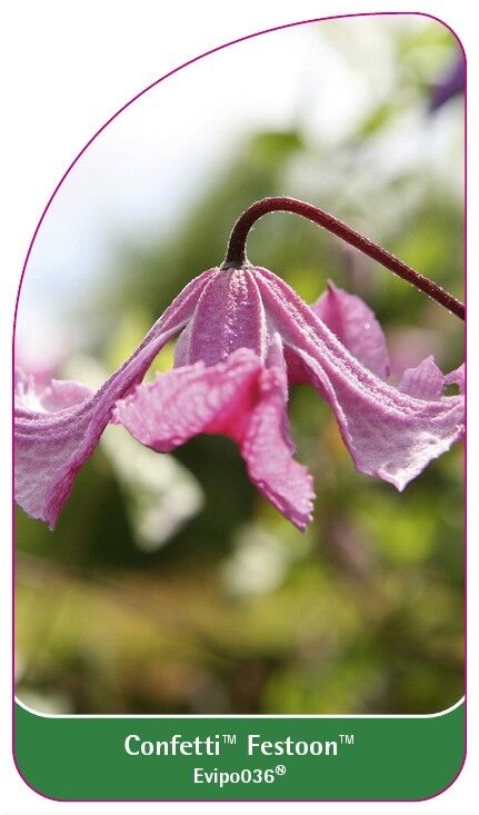 0337_efpl_01-VS