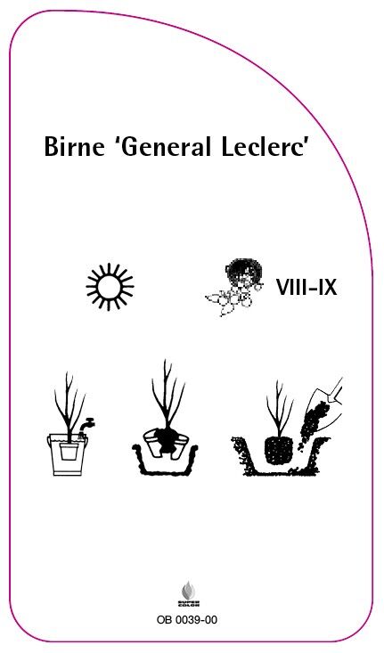 OB-200039-00-RS594bb223939b1