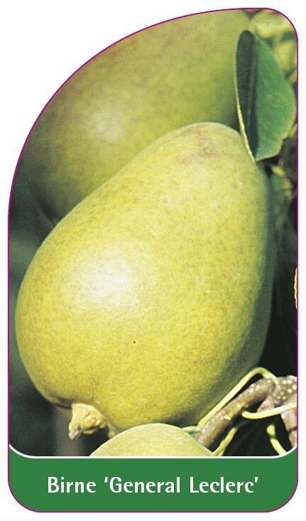 OB-200039-00-VS594b8c86647be