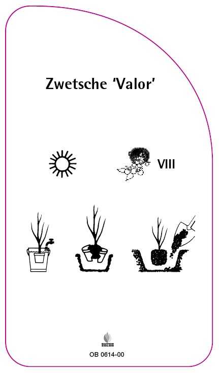 OB-200614-00-RS594bb2ba56044